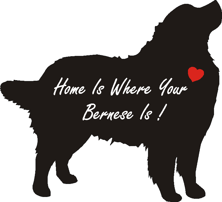 Bernese Mountain Home Is...