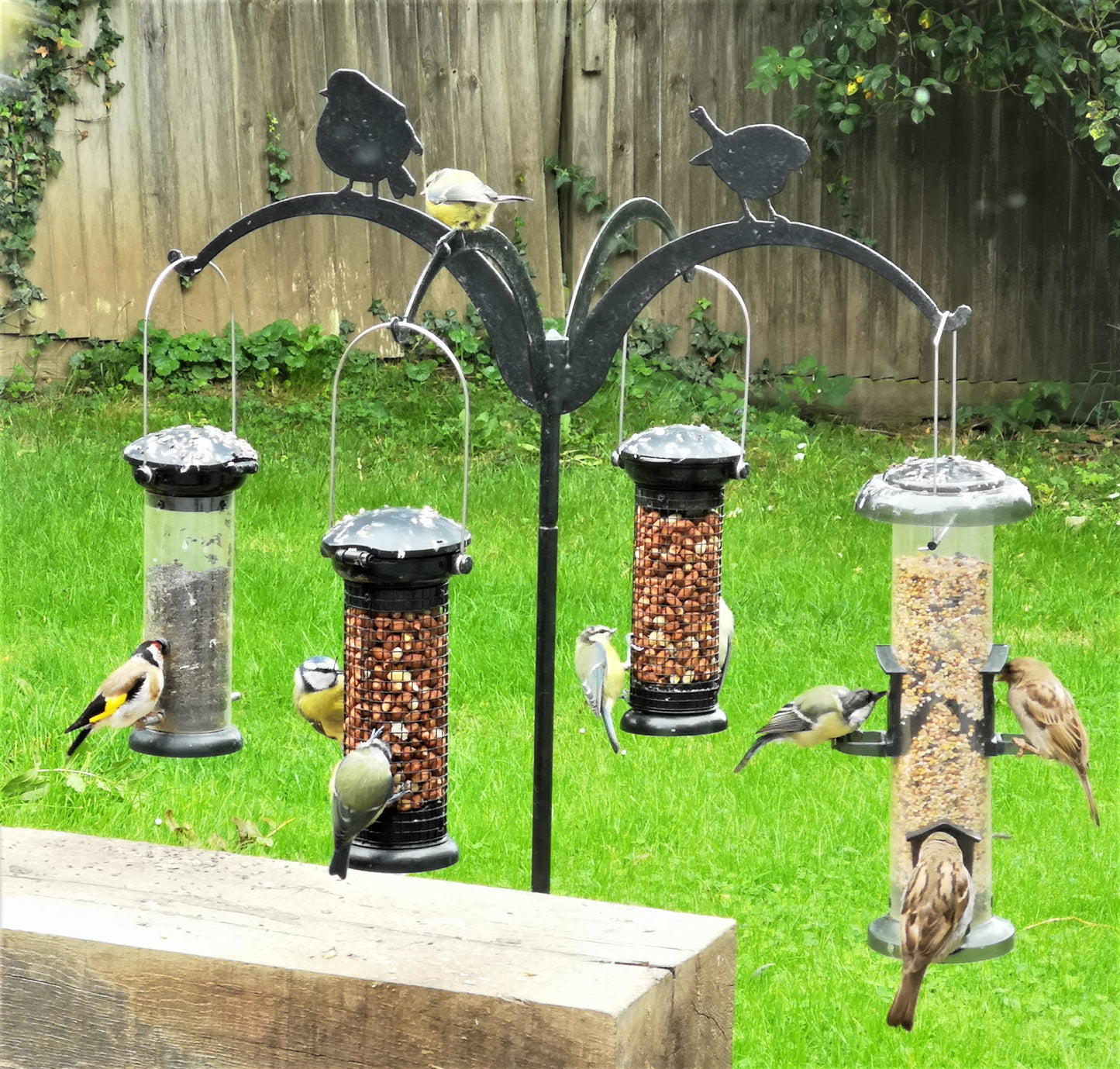 Hanging Bird feeders