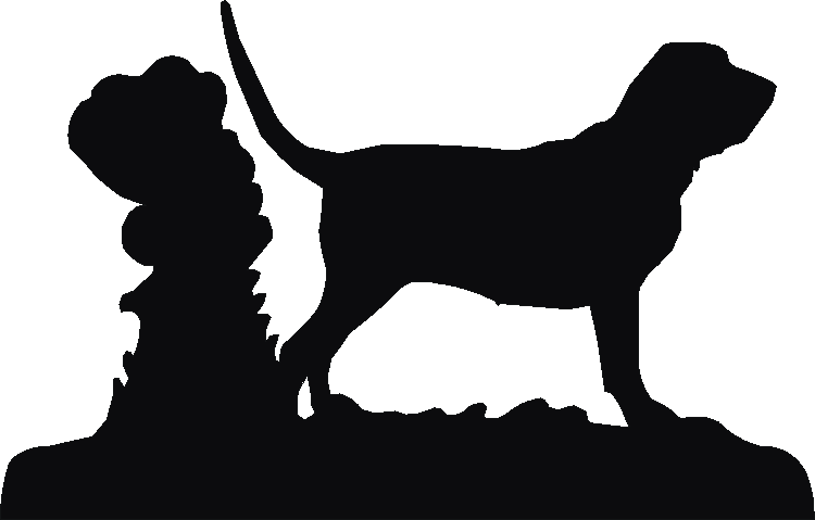 Bloodhound Weathervane