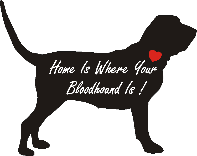 Bloodhound Home Is...