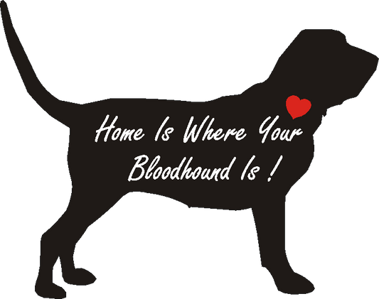 Bloodhound Home Is...