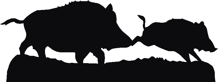 Wild Boar Silhouettes