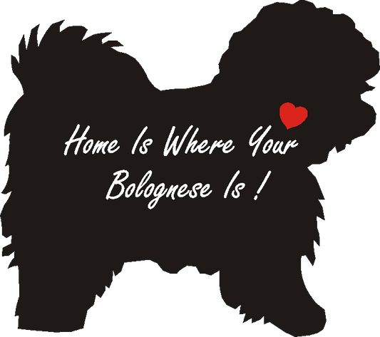 Bolognese Home Is...