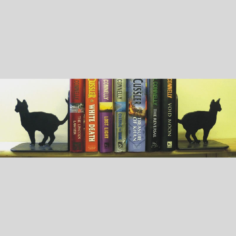 American Water Spaniel Book Ends