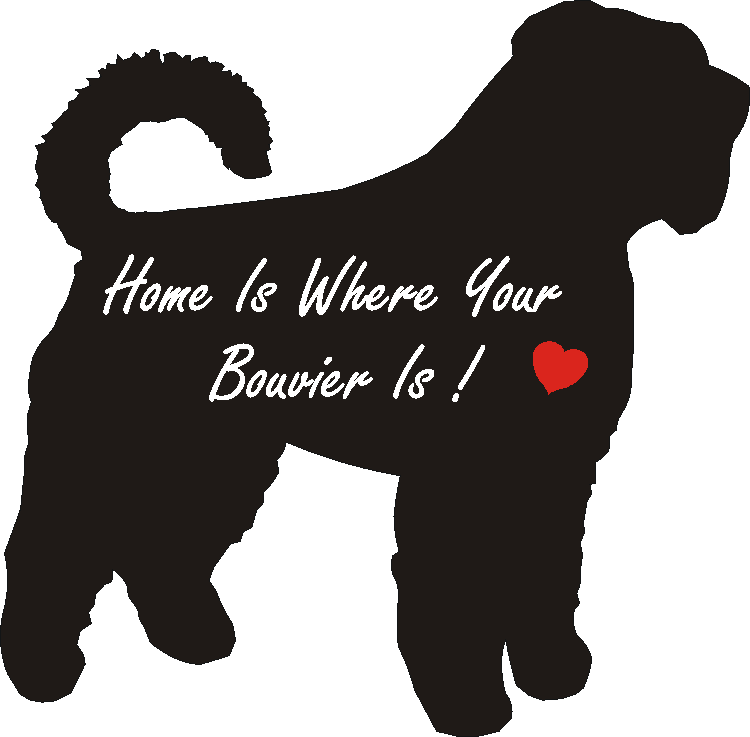 Bouvier Home Is...