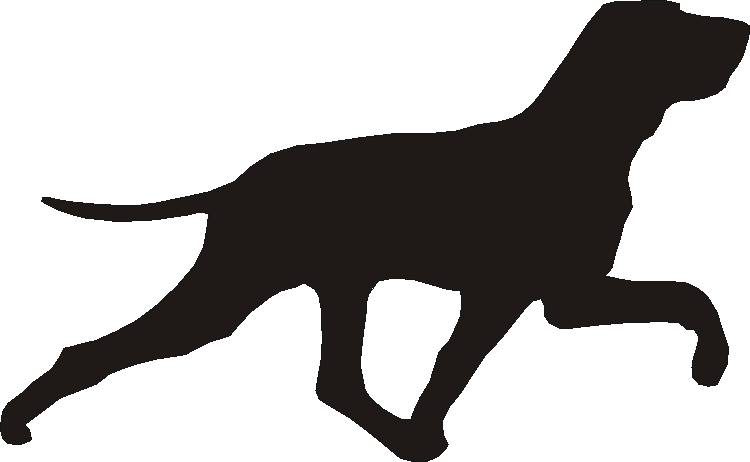 Bracco Italiano Silhouettes