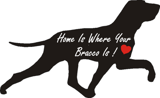 Bracco Italiano Home Is...