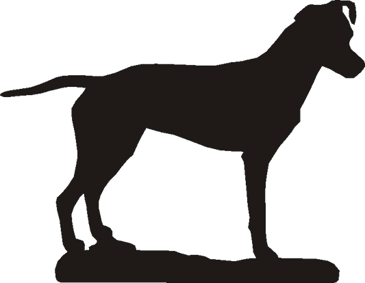 Brazilian Terrier Spice Carousel