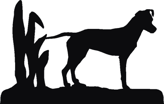Brazilian Terrier Rosette Runner