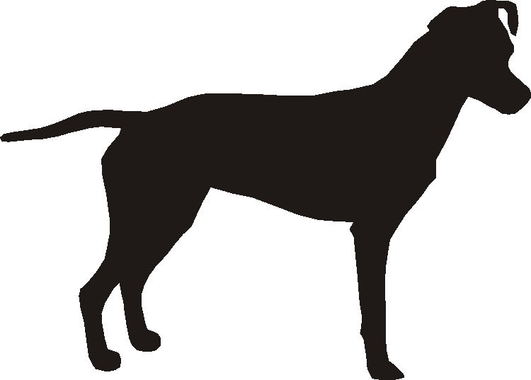 Brazilian Terrier Tankard
