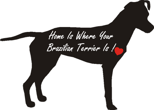 Brazilian Terrier Home Is...