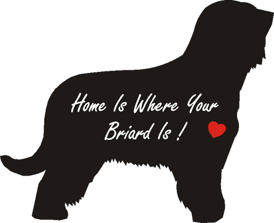 Briard Home Is...