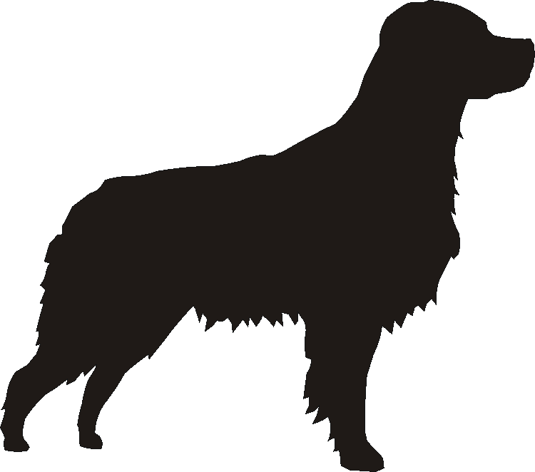 Brittany Spaniel Yorkshire Sign