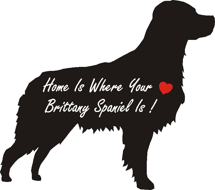 Brittany Spaniel Home Is...