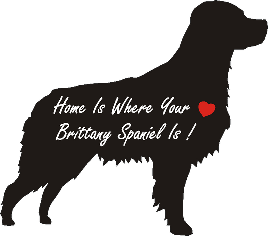Brittany Spaniel Home Is...