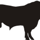 Bull Tumbler Tins