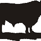 Bull Hanging Signs