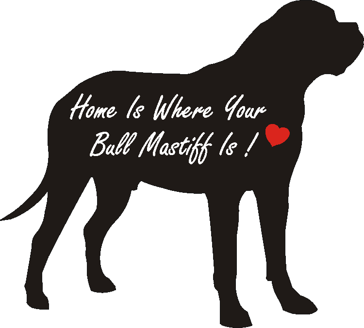 Bull Mastiff Home Is...