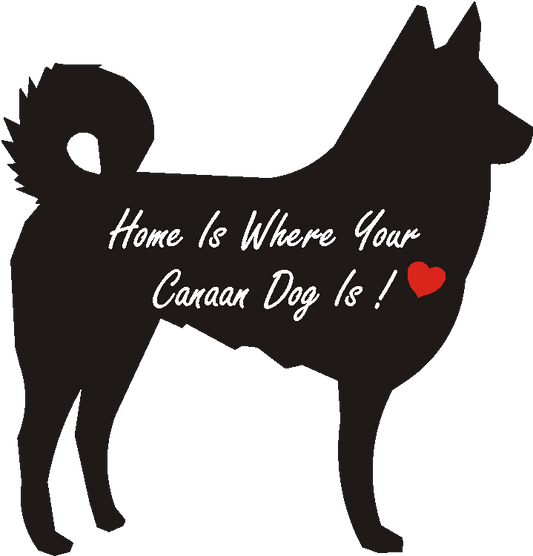 Canaan Dog Home Is...