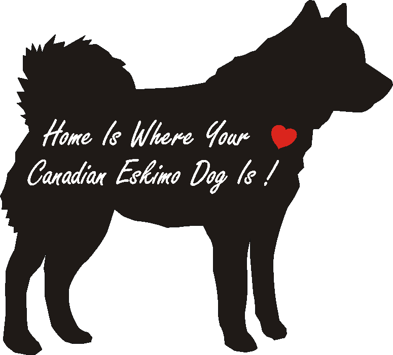 Canadian Eskimo Dog Home Is...