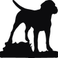 Cane Corso Home Is...