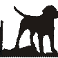 Cane Corso White Board Set