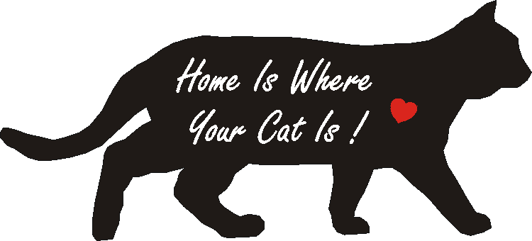 Cat Home Is...