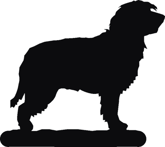 Catalan Shepherd Post Top