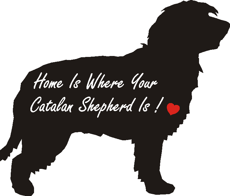 Catalan Shepherd Home Is...