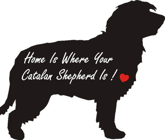 Catalan Shepherd Home Is...