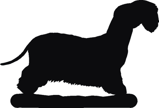Cesky Terrier Post Top
