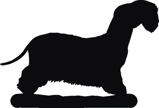 Cesky Terrier Spice Carousel