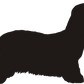 Canadian Eskimo Dog Tall Tumblers