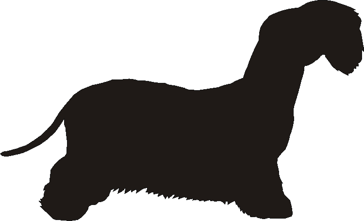 Cesky Terrier Silhouettes