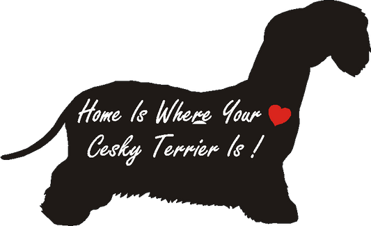 Cesky Terrier Home Is...