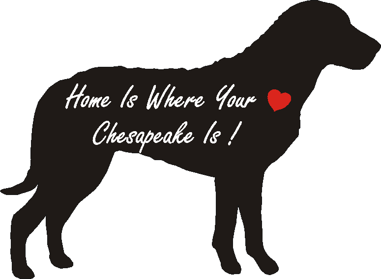 Chesapeake Home Is...