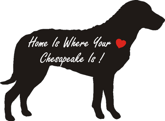 Chesapeake Home Is...