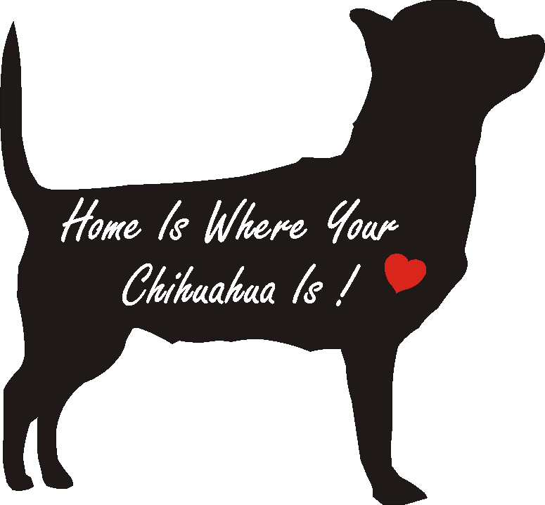 Chihuahua Home Is...