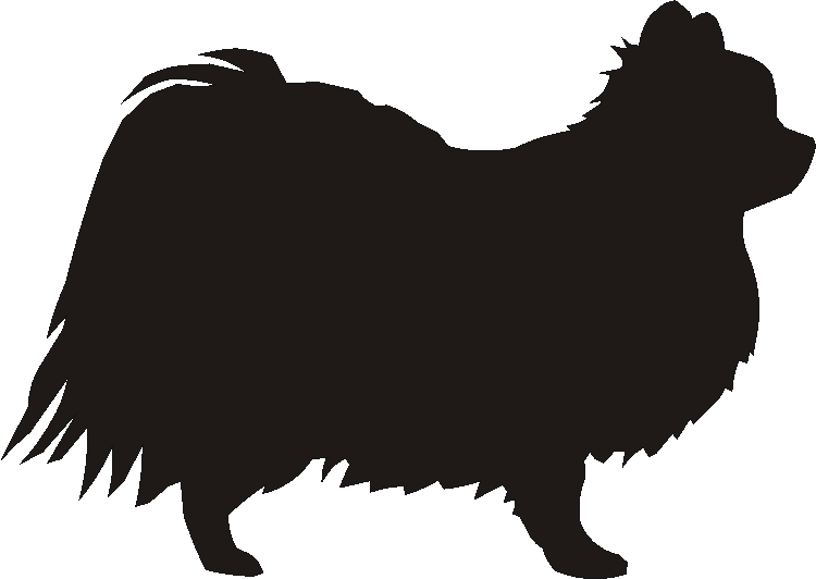 Chihuahua Long Coat Silhouettes