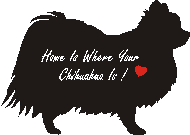 Chihuahua Long Coat Home Is...