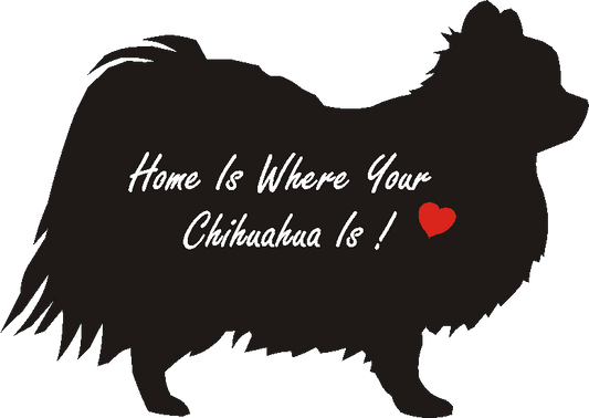 Chihuahua Long Coat Home Is...