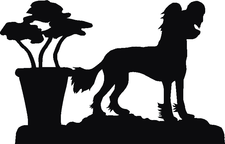 Chinese Crested Silhouettes