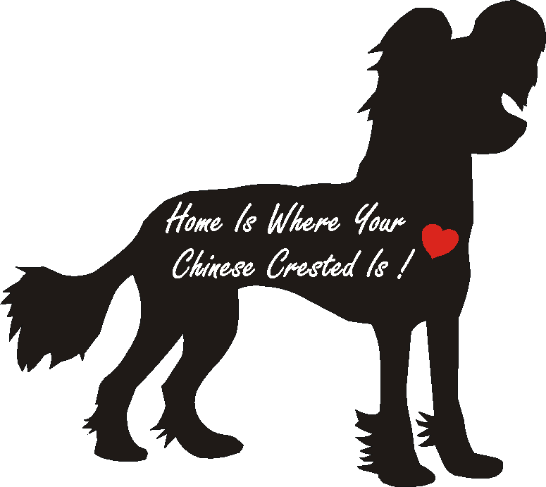 Chinese Crested Home Is...