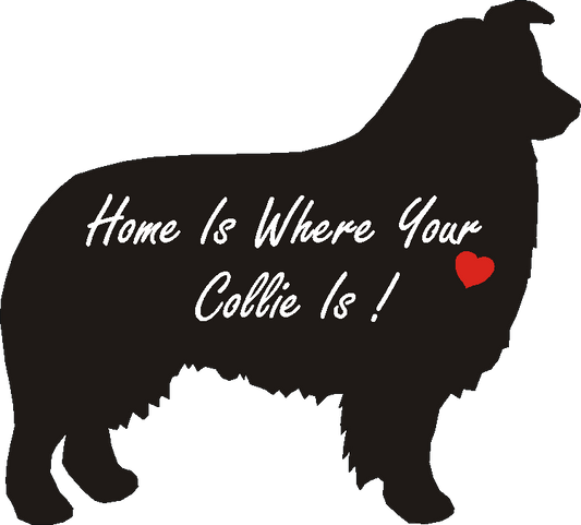 Collie Show Home Is...