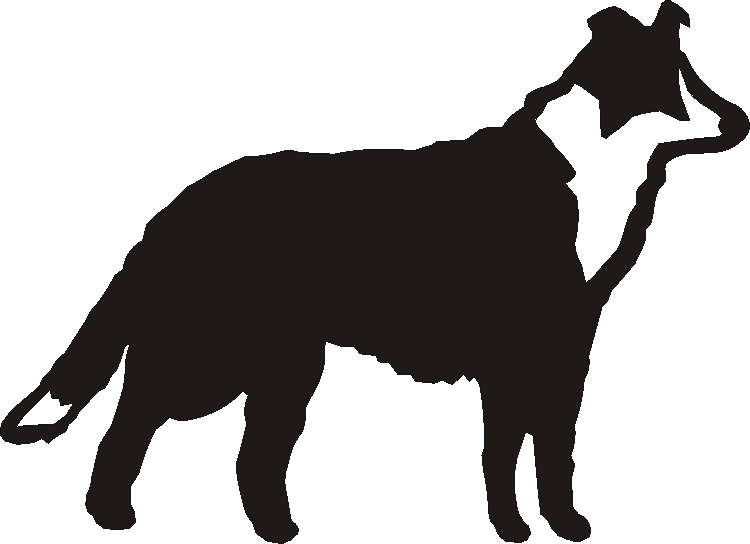 Collie Standing Silhouettes