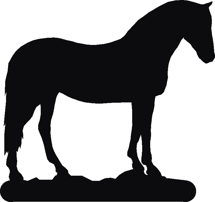 Connemara Pony Twilight