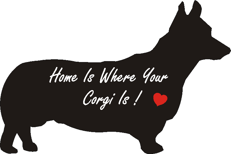 Corgi Pembroke Home Is...