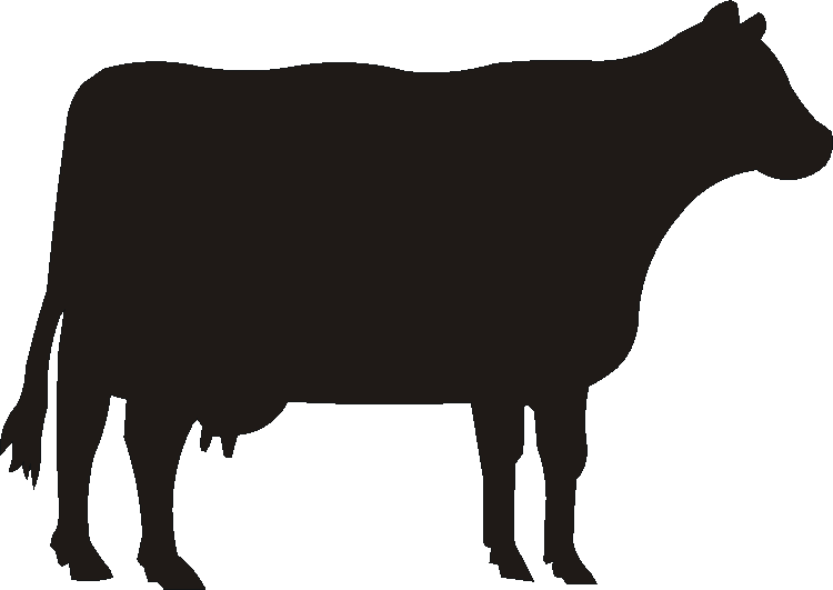 Cow Tankard