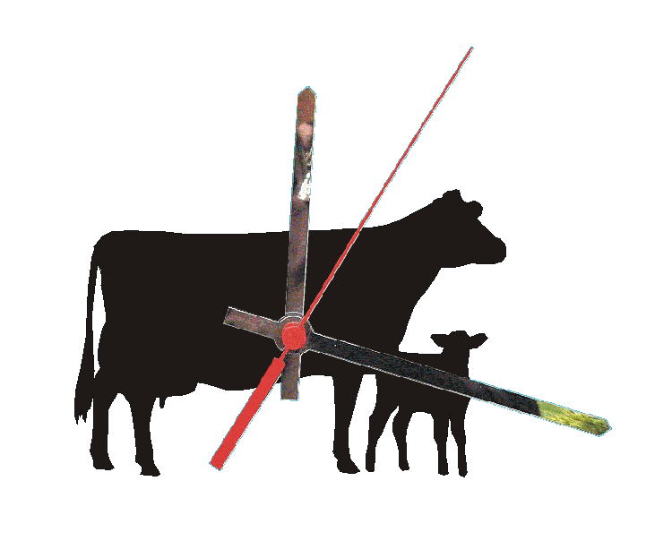 Cow and Calf Clocks
