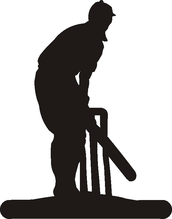 Cricket Post Top